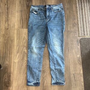 Judy Blue Skinny Jeans Vintage Blue